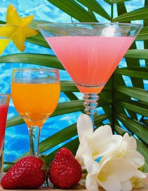 Cockatil at Diani Beach